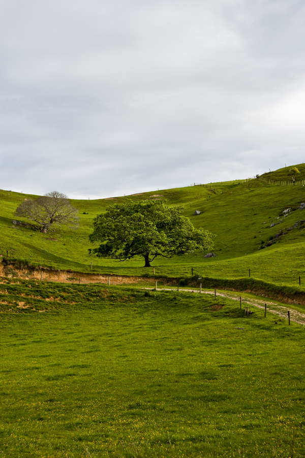 New Zealand