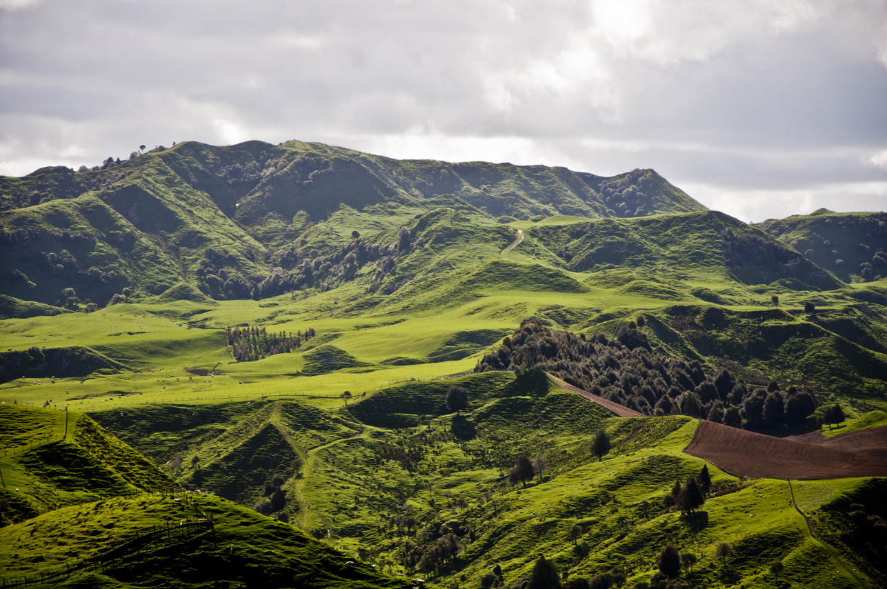 New Zealand